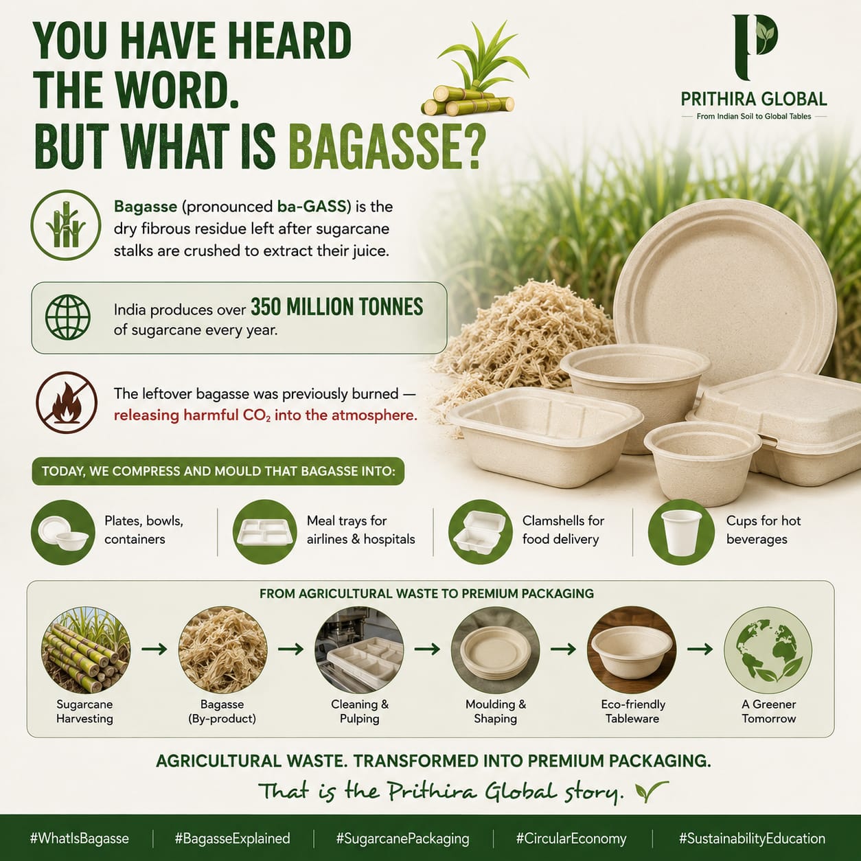 Why Bagasse Tableware Is Better Than Plastic — And Why It's Time to Make the Switch