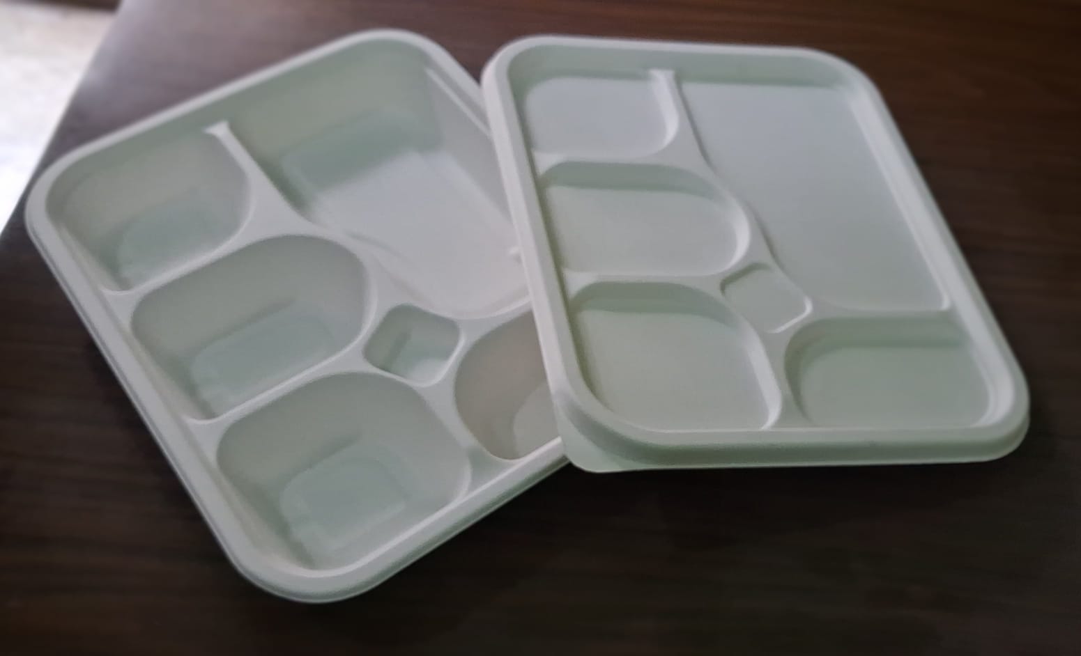Bagasse Rectangular Meal Tray — 6 Compartment