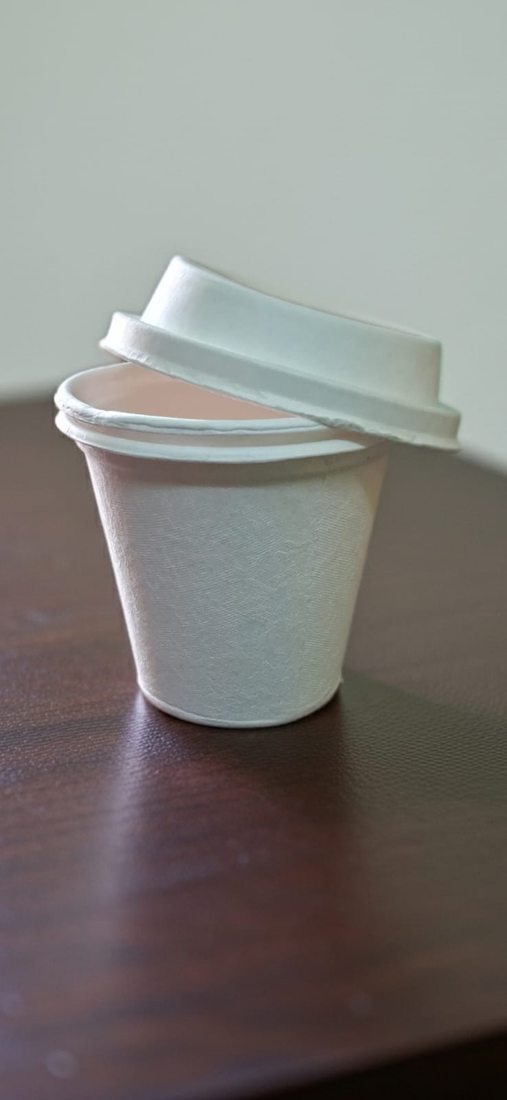 Bagasse Cup with Lid